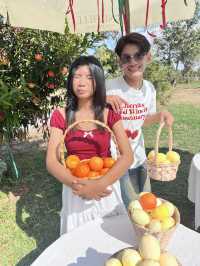 คาเฟ่เจ้าหญิง จังหวัดสกลนคร