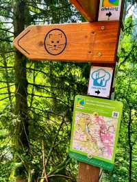Eifel National Park – Germany’s Living Wilderness