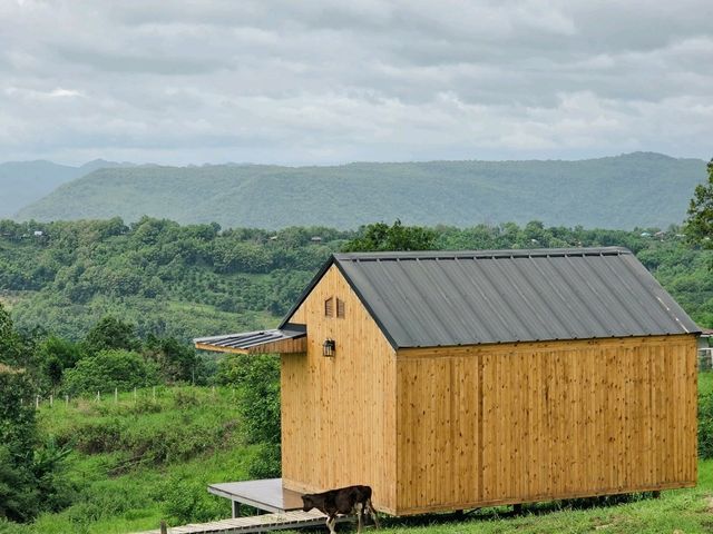 Hillbilly farm น้ำหนาว 🍃🌲☘️☕️