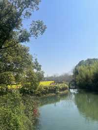 A Memorable Trip to Wuzhen