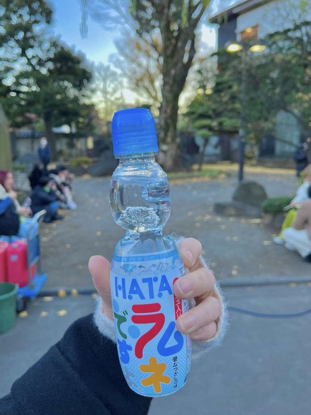 사소하지만 잊을 수 없는 나만의 일본 여행 루틴 🌸  