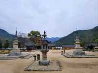 A Fun Stop at Goheung Spaceship Observatory