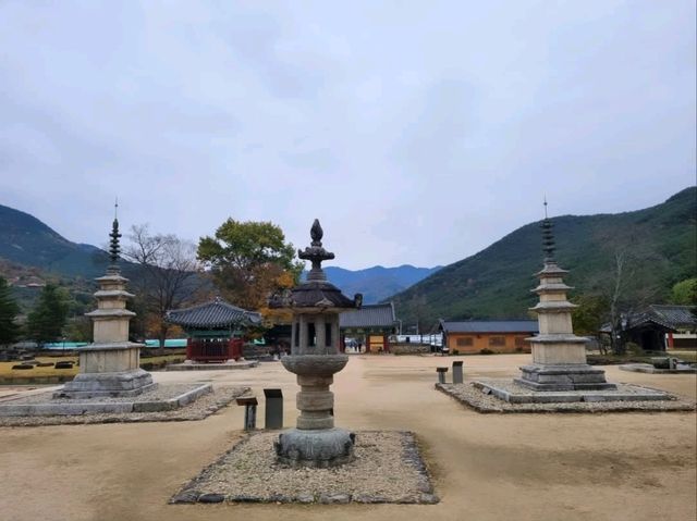 A Fun Stop at Goheung Spaceship Observatory
