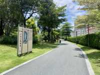 深圳萬豐湖濕地公園✨🌴城市中的自然綠洲🏞️