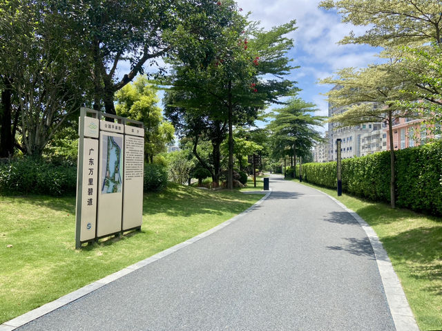 深圳萬豐湖濕地公園✨🌴城市中的自然綠洲🏞️