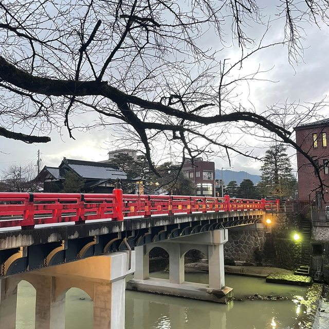 【岐阜】飛騨高山食べ歩きの旅🍡