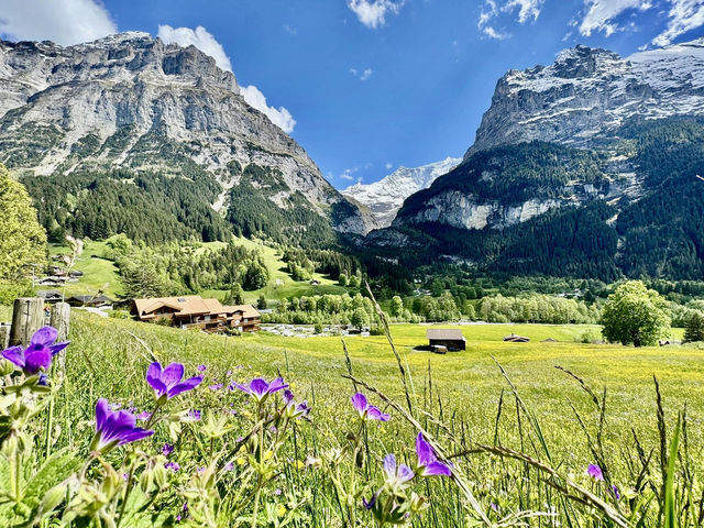 格林德瓦Grindelwald巡禮