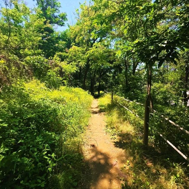 Quick Climb, Quiet Vibes, Totally Worth It