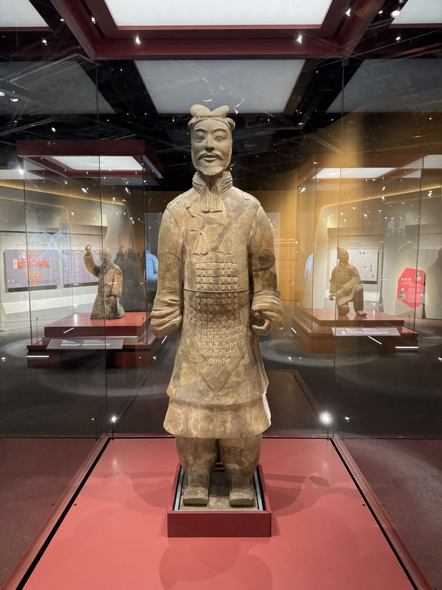 【香港】 唔使飛西安，尖東都有得睇兵馬俑！
