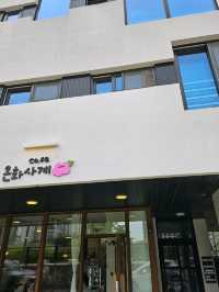 🫶🏻고양 삼송역 창릉천🌲온화사계