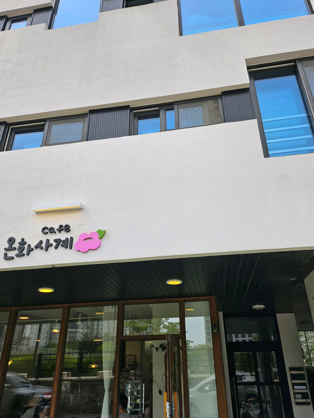 🫶🏻고양 삼송역 창릉천🌲온화사계