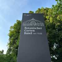 Step into a Living Museum: Basel’s Historic Botanical Garden in Summer