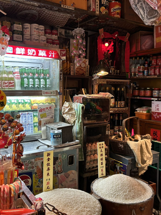 電影九龍寨城 トワイライトウォリアーズの世界