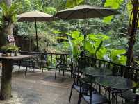 Teddu Coffee เชียงใหม่ คาเฟ่ที่สายกาแฟห้ามพลาด! ☕️