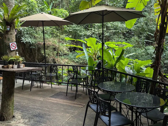Teddu Coffee เชียงใหม่ คาเฟ่ที่สายกาแฟห้ามพลาด! ☕️
