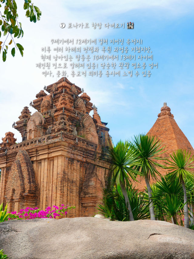 (저장💌) 나트랑 여행, 이것만은 꼭 하고오세요 🇻🇳