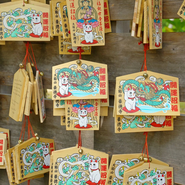 Tokyo's Hidden Gem: The Adorable "Cat Street" I'd Visit Countless Times! 😻🐾