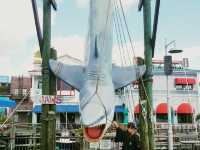 Universal Orlando: Fun on a Budget