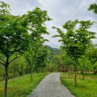 Daejeon Wanders