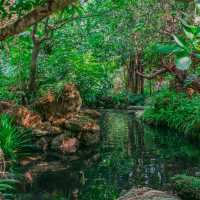  คาเฟ่ในป่าบรรยากาศสบายตาเขียวชะอุ่ม
