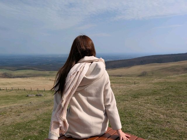 【日本一広いナイタイ牧場で、絶景＆グルメを堪能】