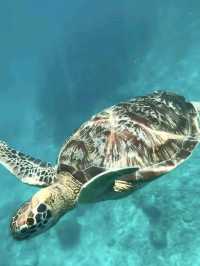 Similan Islands: Thailand's Underwater Eden