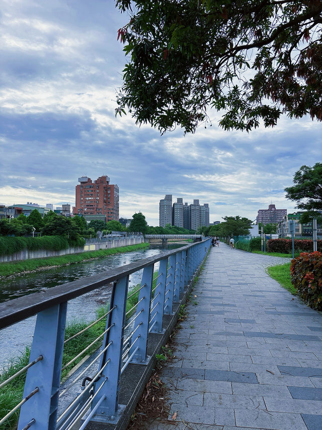 🌿桃園中壢散步秘境｜老街溪自行車道，綠蔭樹下的城市靜旅