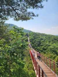 Swingin’ High at Gamaksan