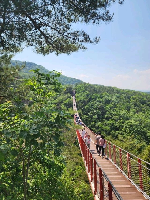 Swingin’ High at Gamaksan