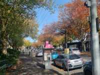 Sorry Melbournians, but Brisbane coffee is better 
