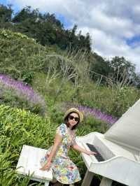 🌄 Fansipan Adventure – Don’t Miss What’s at the Base Before Going Up!