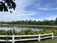 นั่งชมธรรมชาติสีเขียวที่สวนสาธารณะ “หนองเขียว“