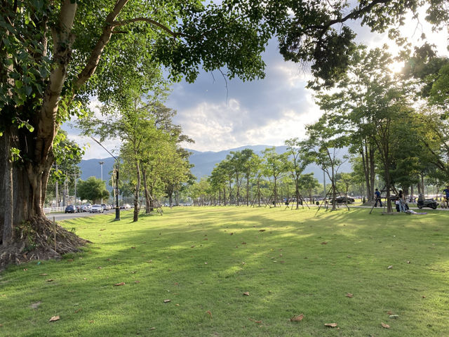 นั่งชมธรรมชาติสีเขียวที่สวนสาธารณะ “หนองเขียว“