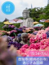 本気の奈良！あじさゐ回廊開催中 眼病平穏のご利益あり✨👀