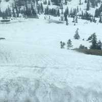 หิมะครั้งแรกของฉัน ณ กำแพงหิมะ Murodo Snow Wall 