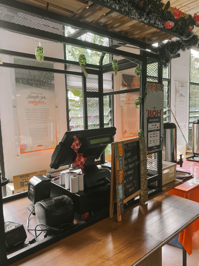 Sip, Shop & Savor: The BOH Tea Boutique Experience