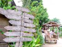 บ้านนาต้นจั่น สุโขทัย