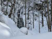 《❄️☃️ 雪之華》走進雪地童話—奧入瀨溪流❄️ #雪地 #冰雪世界