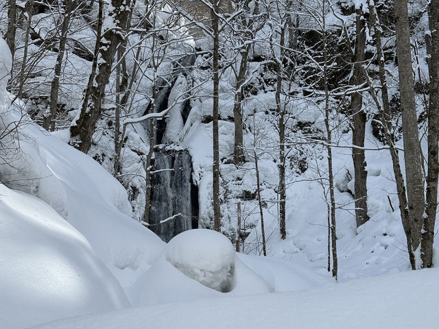 《❄️☃️ 雪之華》走進雪地童話—奧入瀨溪流❄️ #雪地 #冰雪世界