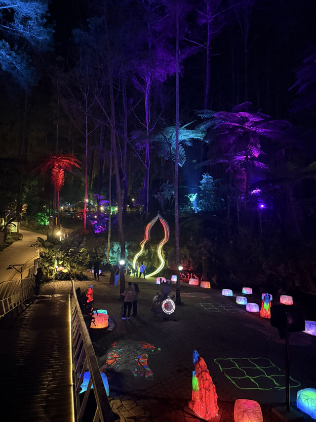 A different nightlife experience!