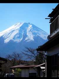 【富士五湖で絶景と癒しの湖旅】富士山を望む五つの宝石🌄💎