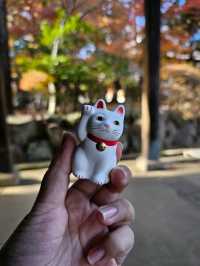 Gotokuji Temple วัดแมวกวัก