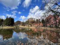 🍷 Whisky, Nature & Craft – A Family-Friendly Stop at Nikka Sendai