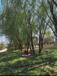 🏞️【漢江公園（Hangang Park）】ソウルの風を感じる川辺のオアシス