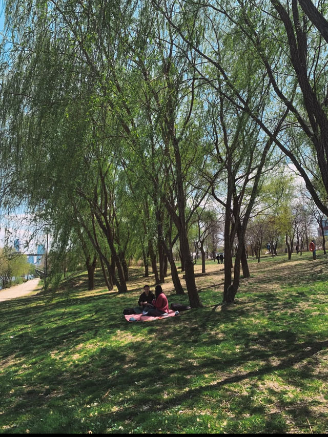 🏞️【漢江公園（Hangang Park）】ソウルの風を感じる川辺のオアシス