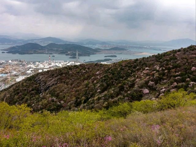 Sea Breezes & Mountain Chill