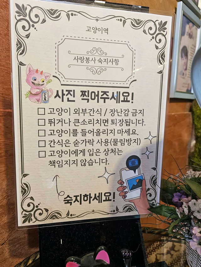 🤎🤍영흥도 고양이와 고양이역