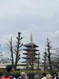人潮推我過雷門，撞翻古今東京⛩️