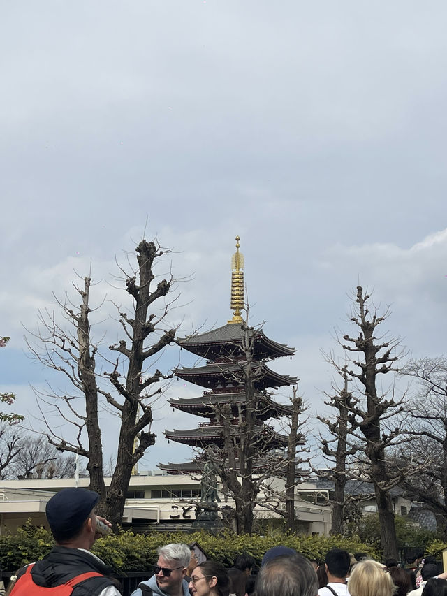人潮推我過雷門，撞翻古今東京⛩️