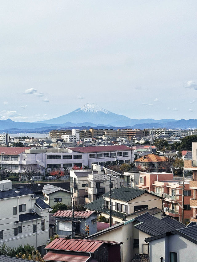 5 Epic Days in Tokyo Your Anime-Loving Kids Will Never Forget!